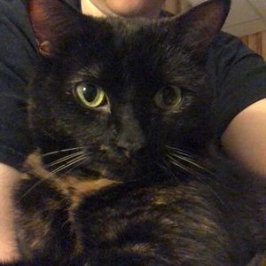 Meet your Posher, Brandi